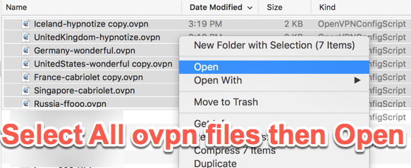 ovpn files free download