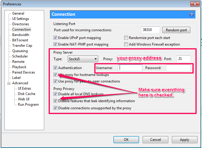 A Guide on How to Set Up a Pirate Bay Proxy Server - CNBNews